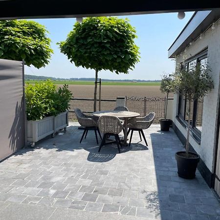 Tiny House Villa Westdorpe ภายนอก รูปภาพ